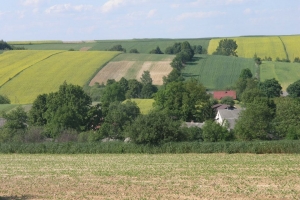 Roztoczańskie klimaty