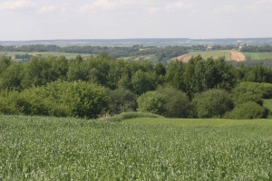 Roztoczańskie klimaty